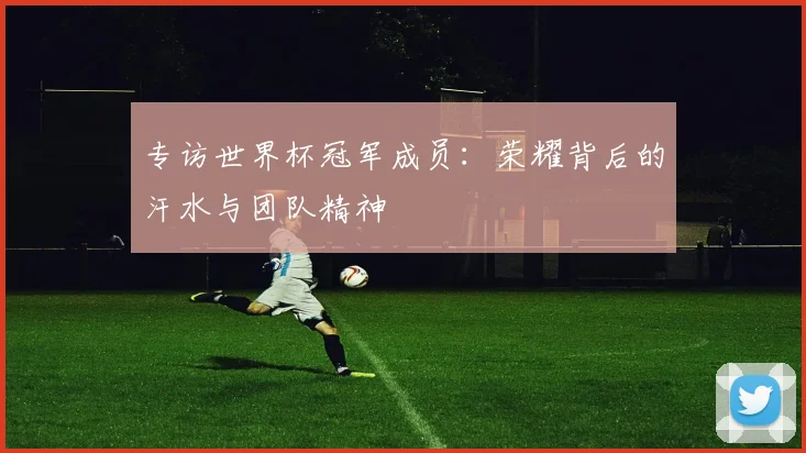 专访世界杯冠军成员：荣耀背后的汗水与团队精神