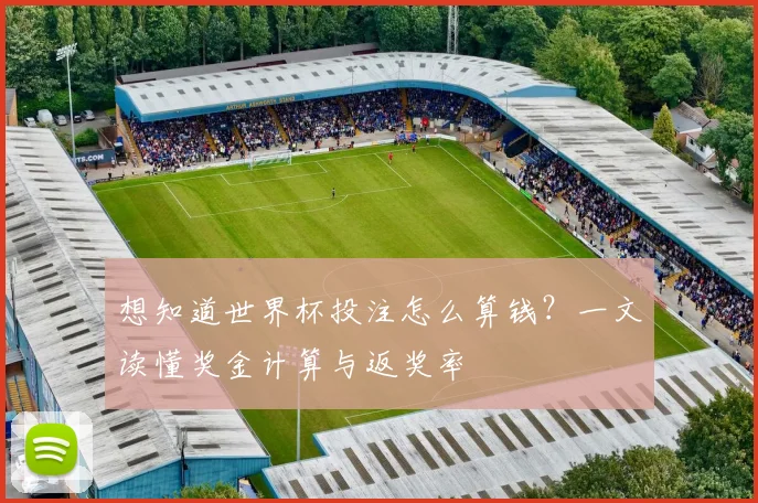 想知道世界杯投注怎么算钱？一文读懂奖金计算与返奖率