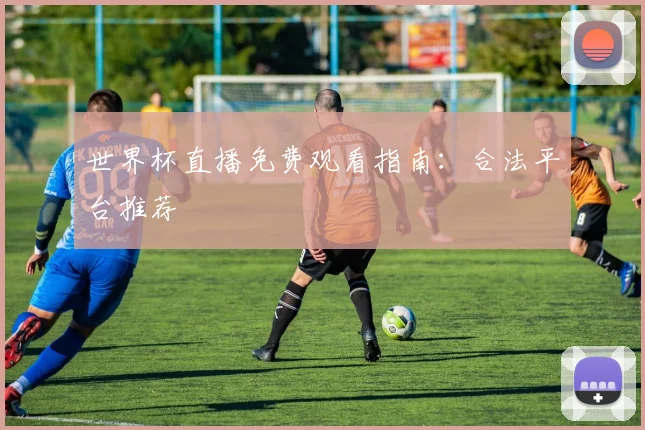 世界杯直播免费观看指南：合法平台推荐