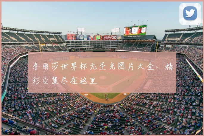 李丽莎世界杯无圣光图片大全，精彩合集尽在这里