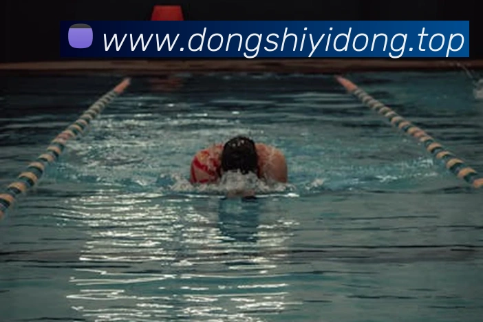 米兰app入口服务体系